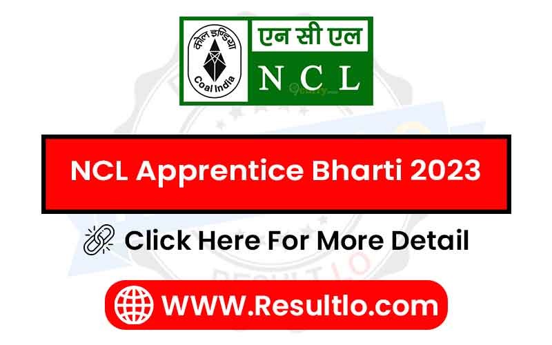 NCL Apprentice Bharti 2023