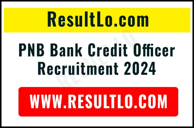 PNB Bank Credit Officer Recruitment 2024